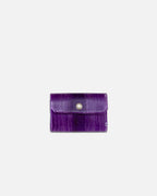 ACCORDION CARD CASE