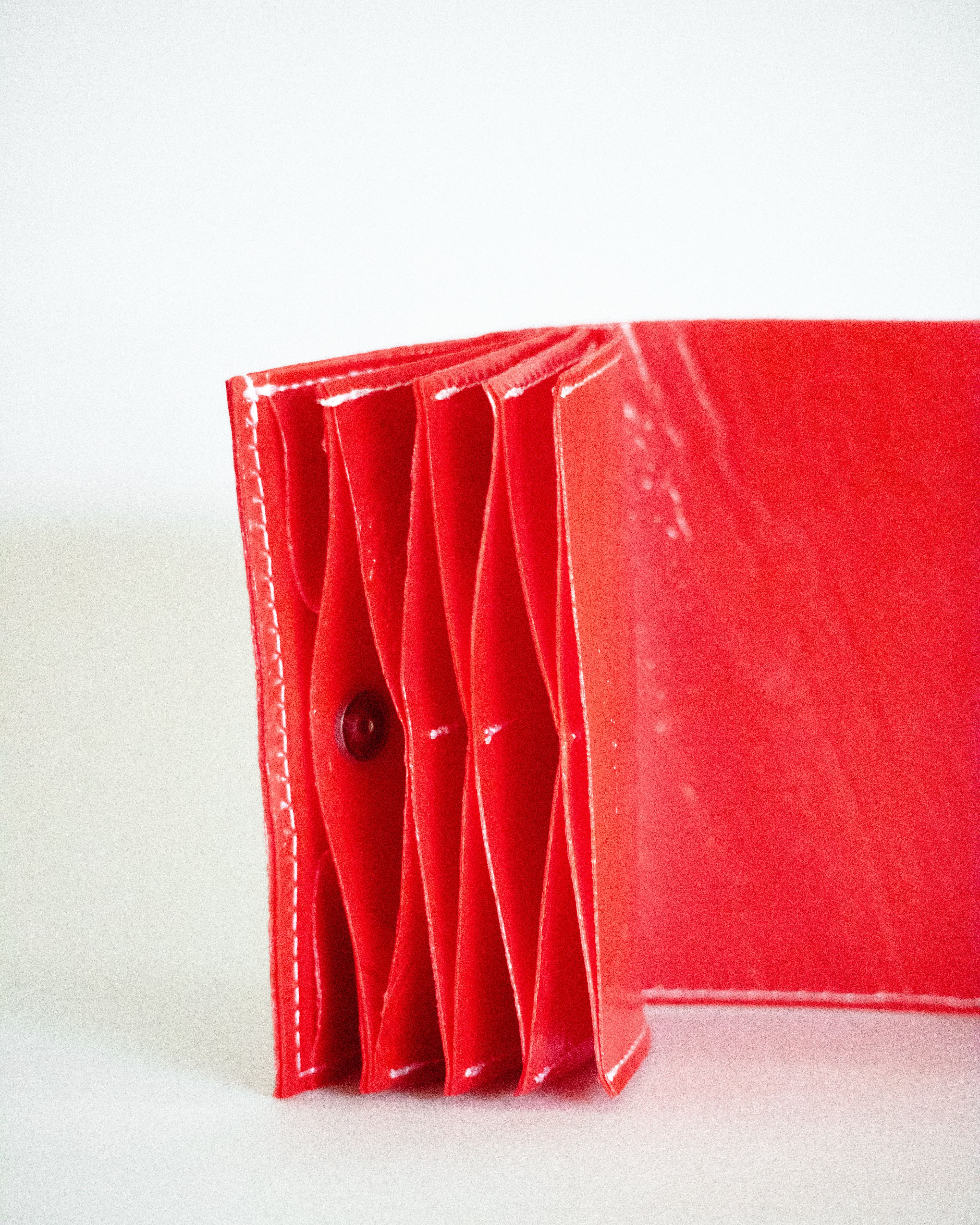 ACCORDION CARD CASE